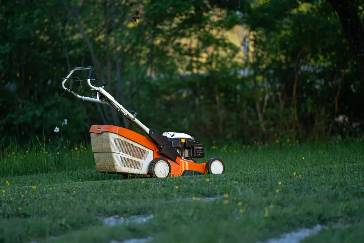 Lawn Mowing & Lawn Care in Glendale, AZ