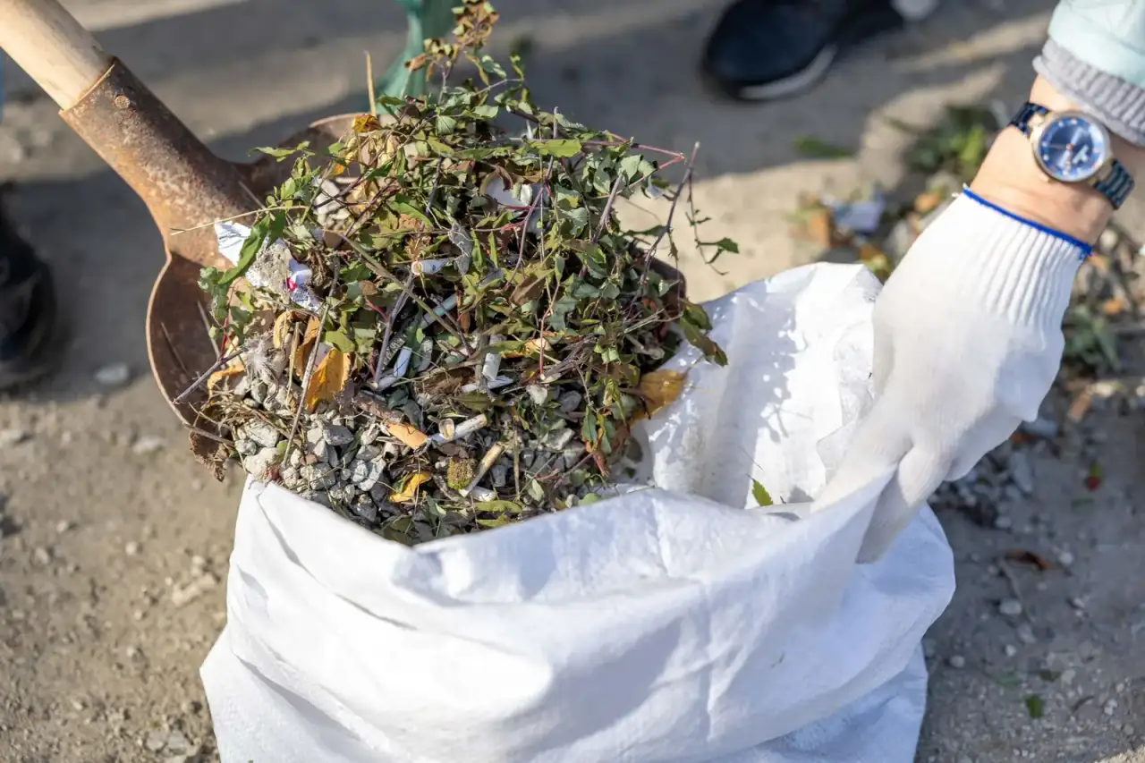 Yard Cleanup & Debris Removal in Glendale, AZ